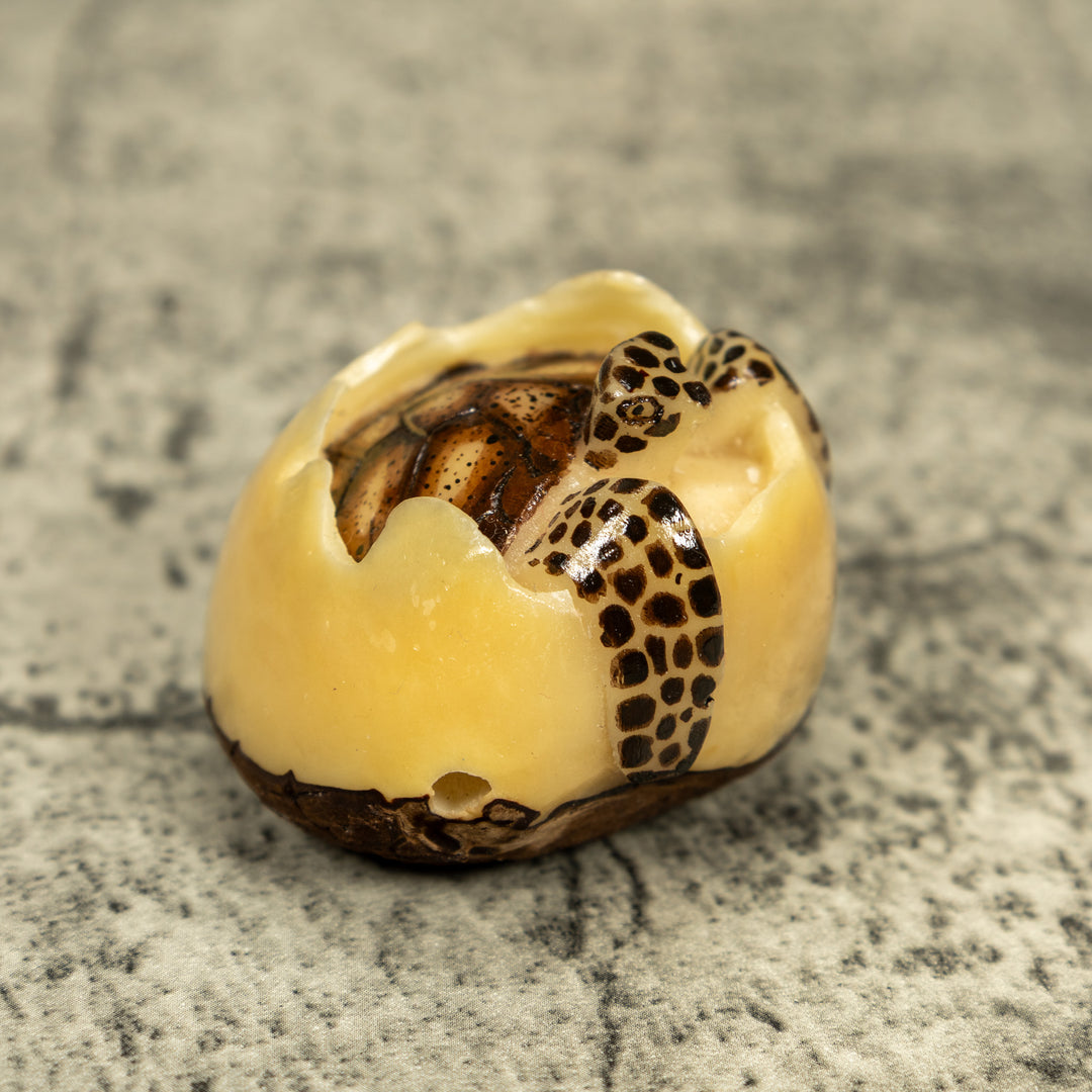 Black And Brown Sea Turtle Emerging From Egg Tagua Carving
