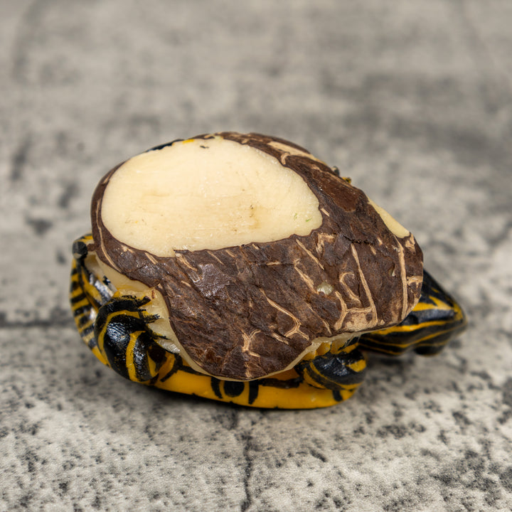 Green Yellow Tortoise Turtle Tagua Carving