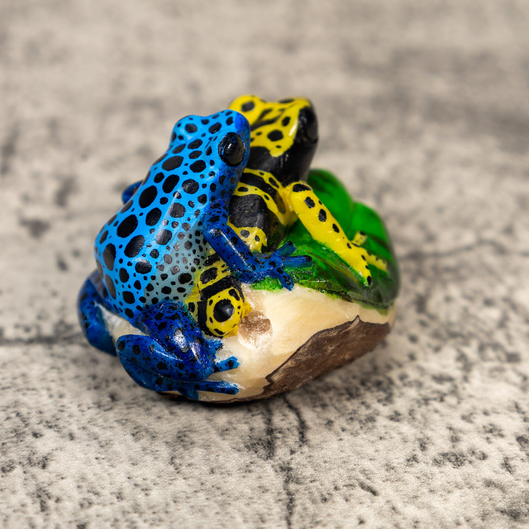 Two Poison Dart Frog Tagua Carving