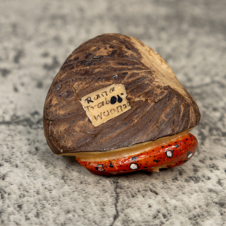 Orange Black And White Stingray Tagua Carving