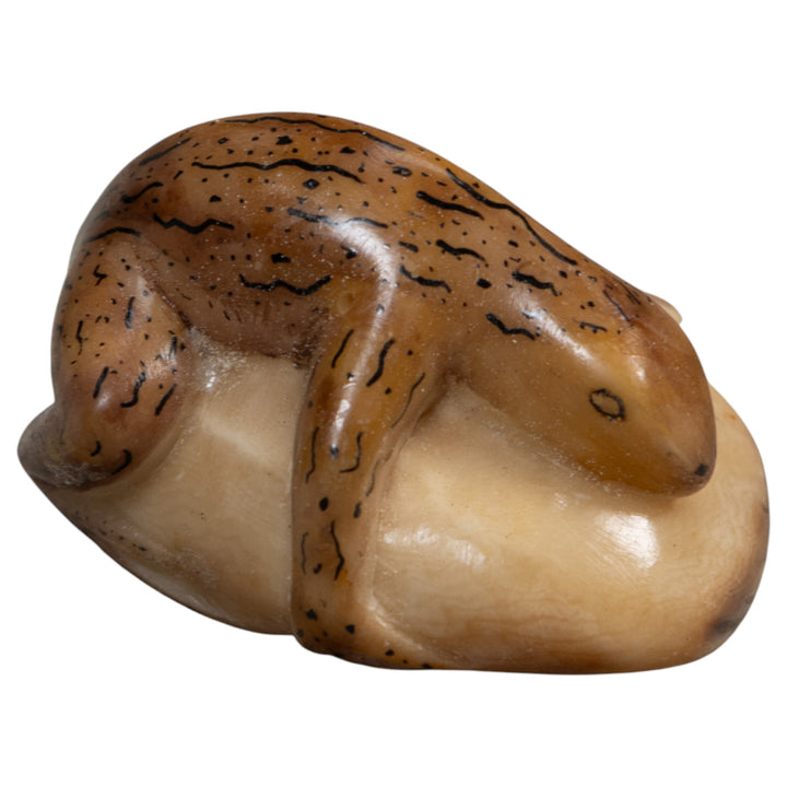 Vintage Brown And Black Gecko Lizard Tagua Carving