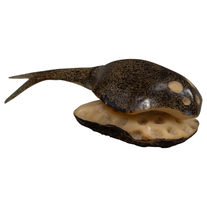 Ocean Stingray Tagua Carving
