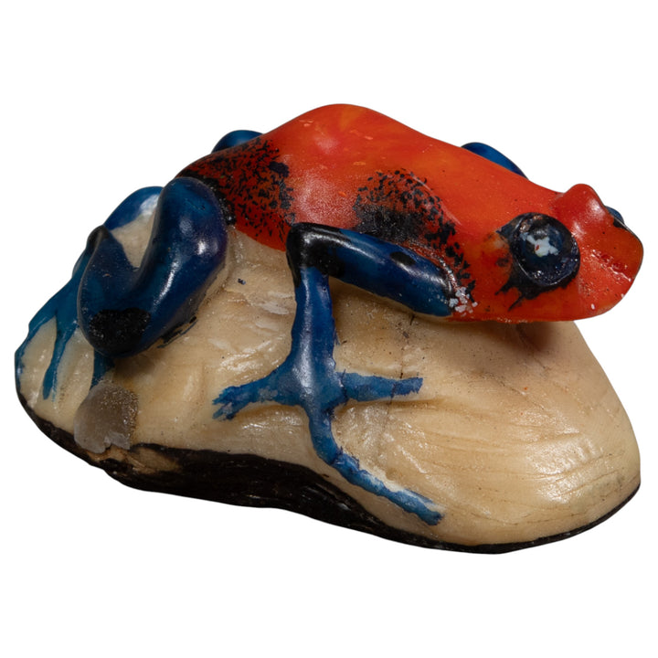 Red And Blue Poison Dart Frog Tagua Carving