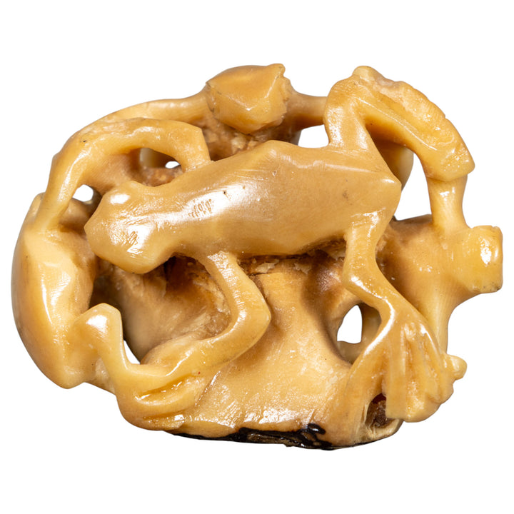 Multiple Natural White Frog Tagua Carving