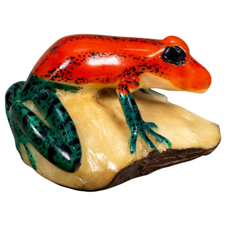 Red And Blue Poison Dart Frog Tagua Carving