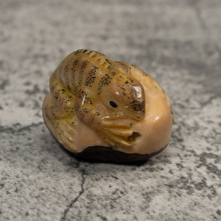 Vintage Brown And Tan Gecko Lizard Tagua Carving