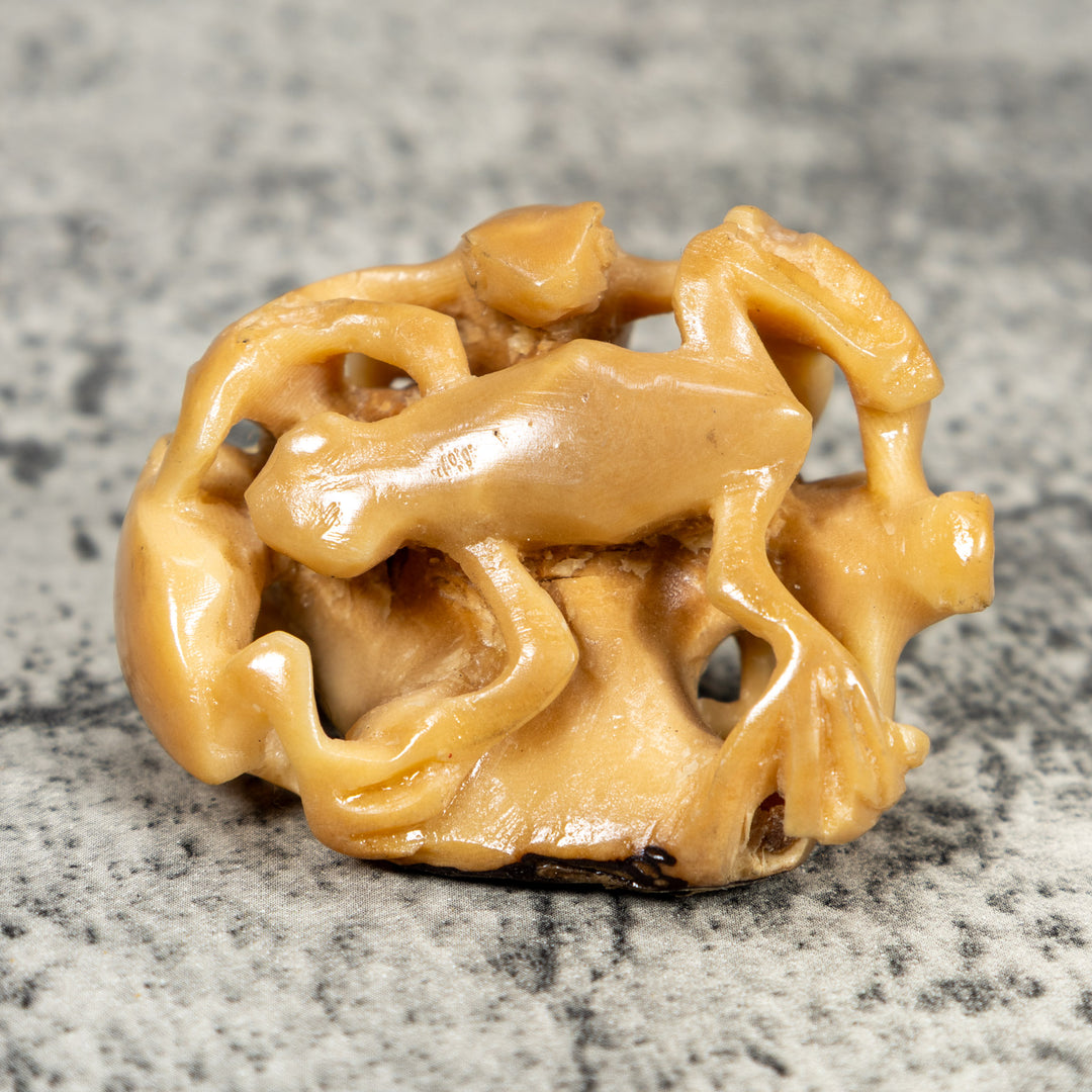Multiple Natural White Frog Tagua Carving