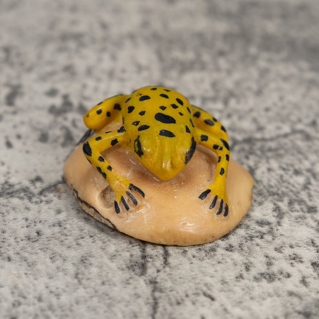 Vintage Golden Frog Tagua Carving