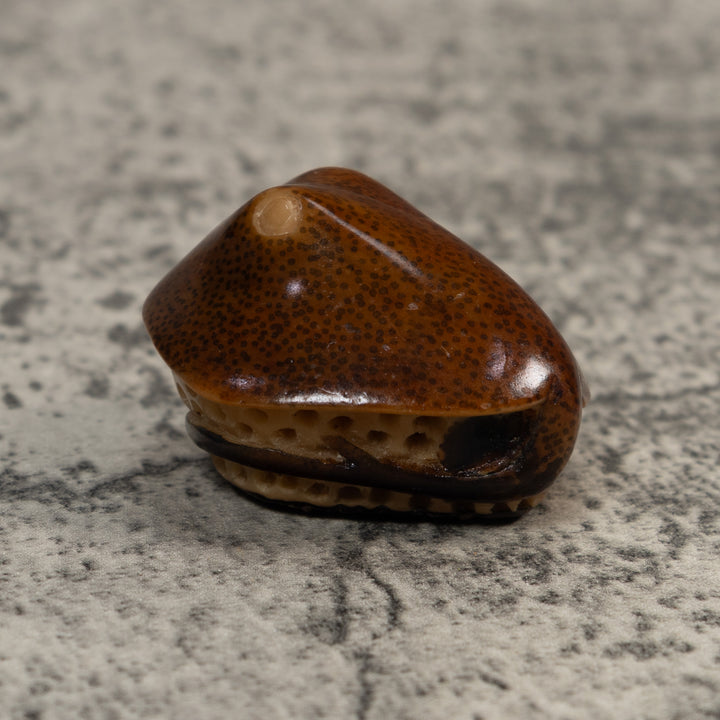 Vintage Stingray Fish Tagua Carving