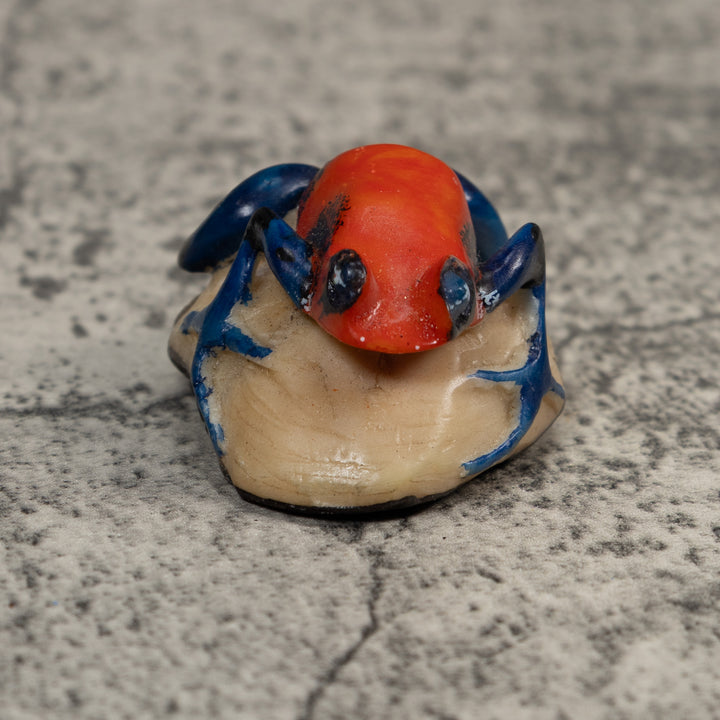 Red And Blue Poison Dart Frog Tagua Carving