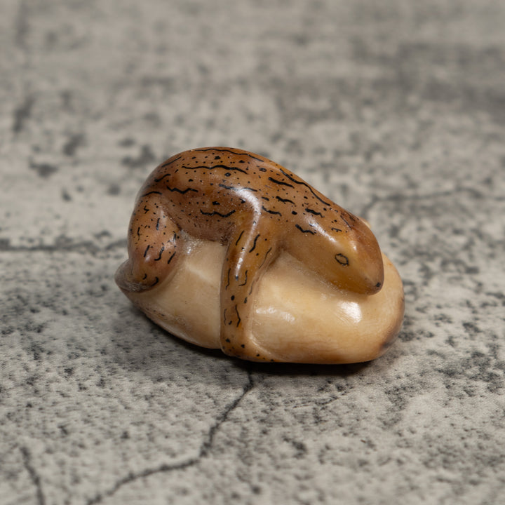 Vintage Brown And Black Gecko Lizard Tagua Carving