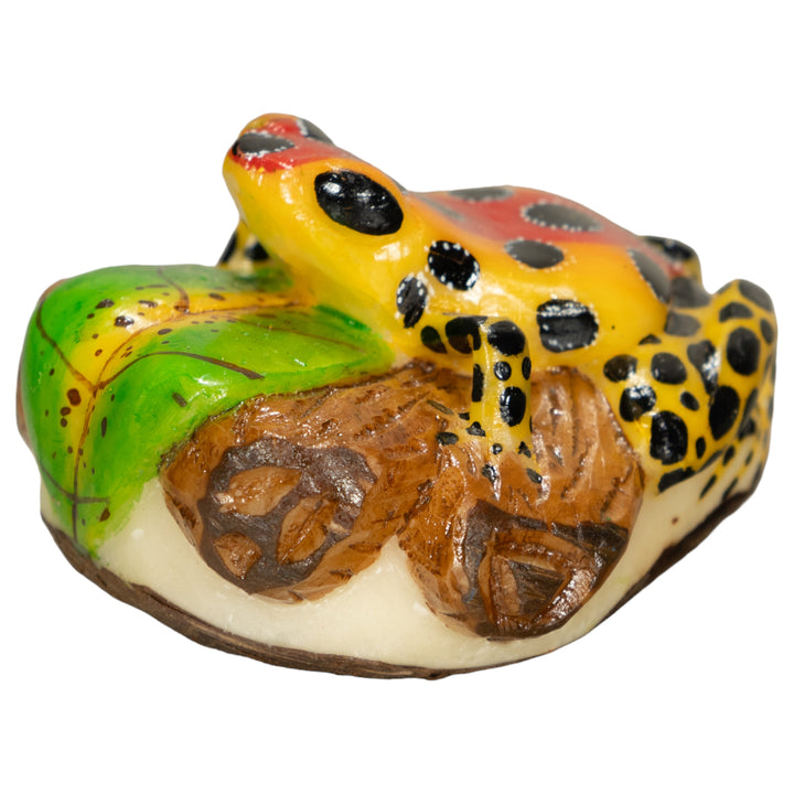 Orange And Red Poison Dart Frog Tagua Nut Carving