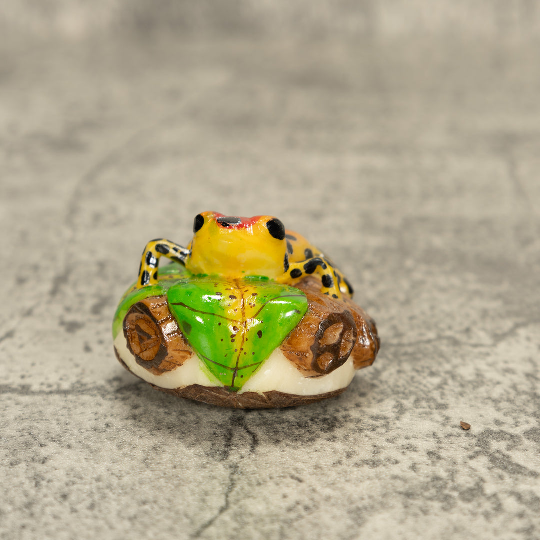 Orange And Red Poison Dart Frog Tagua Nut Carving