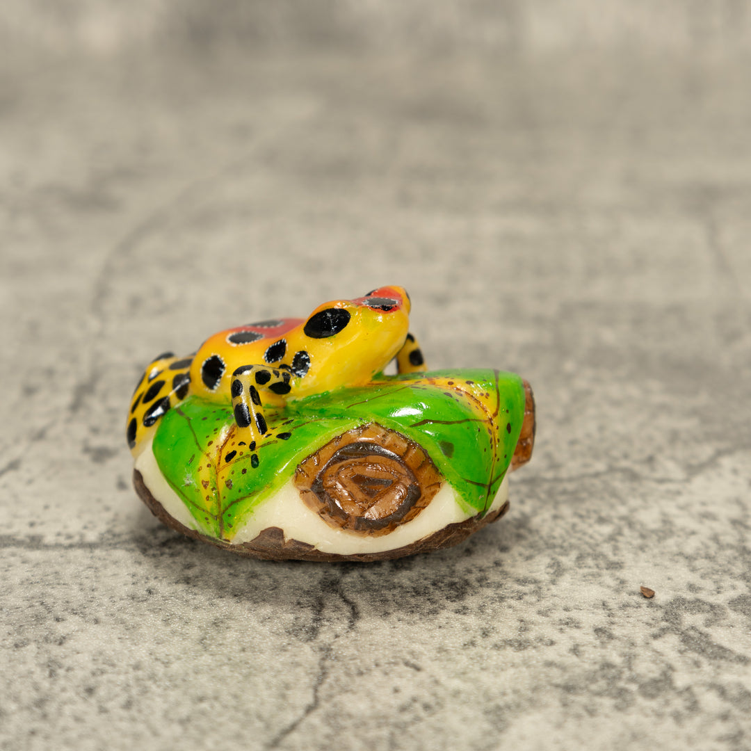 Orange And Red Poison Dart Frog Tagua Nut Carving