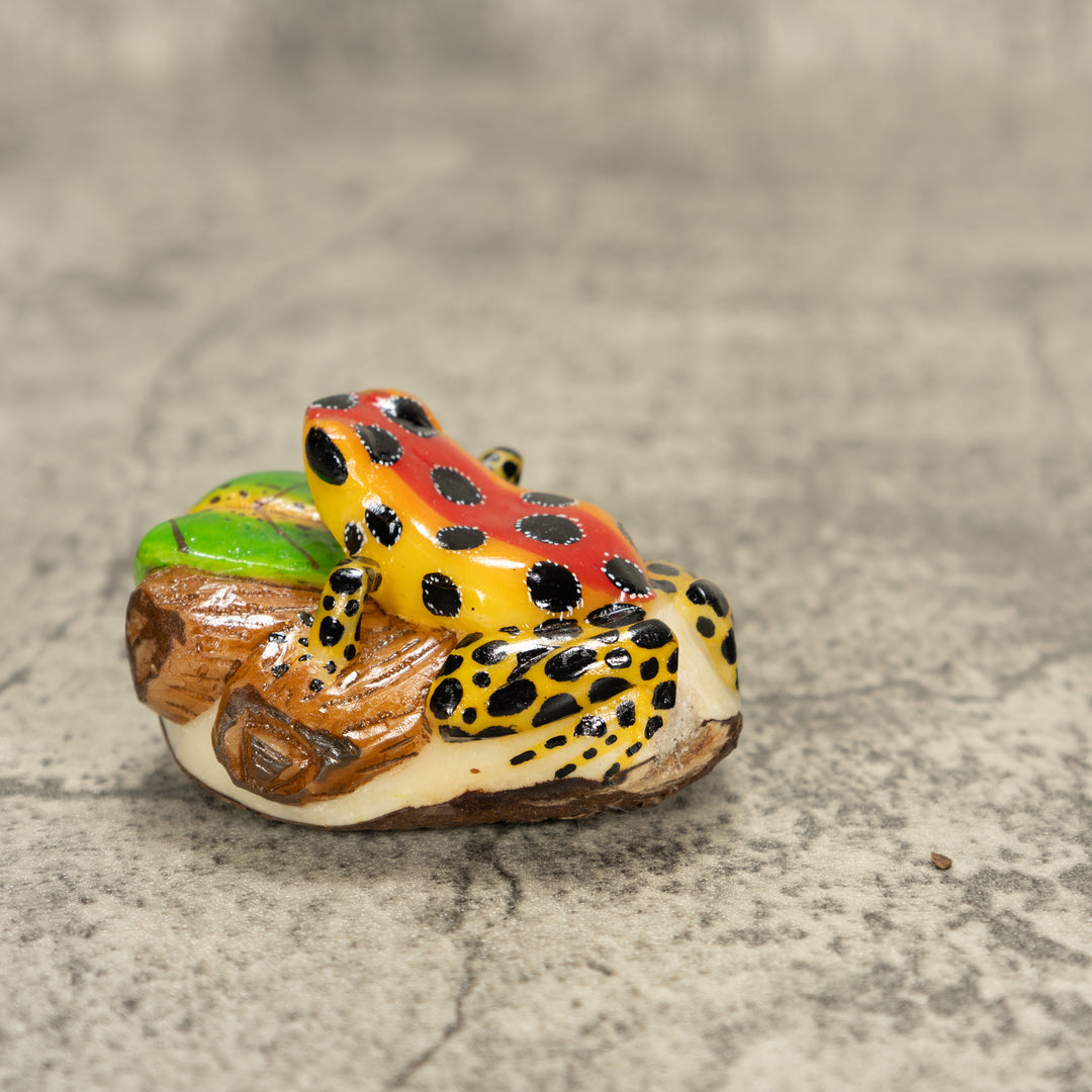 Orange And Red Poison Dart Frog Tagua Nut Carving