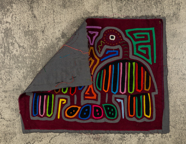 Maroon And Gray Buzzard Bird Mola