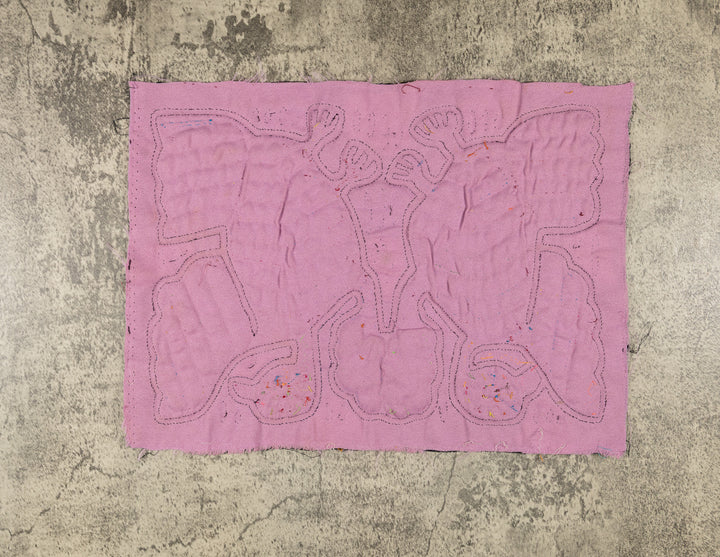 Black And Purple Fan Dancer Bird Mola