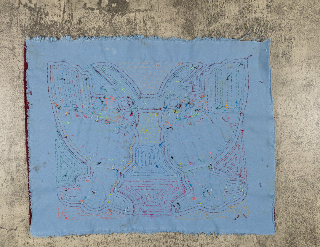Rainbow Optical Illusion Bird Mola