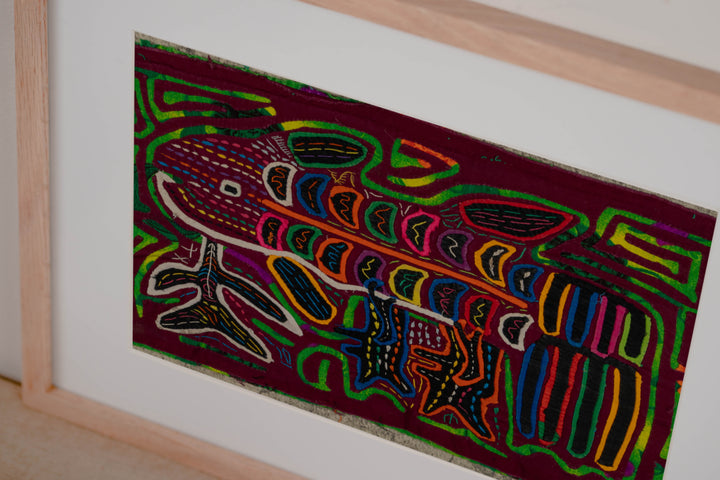 Maroon And Green Fish Aquarium Mola