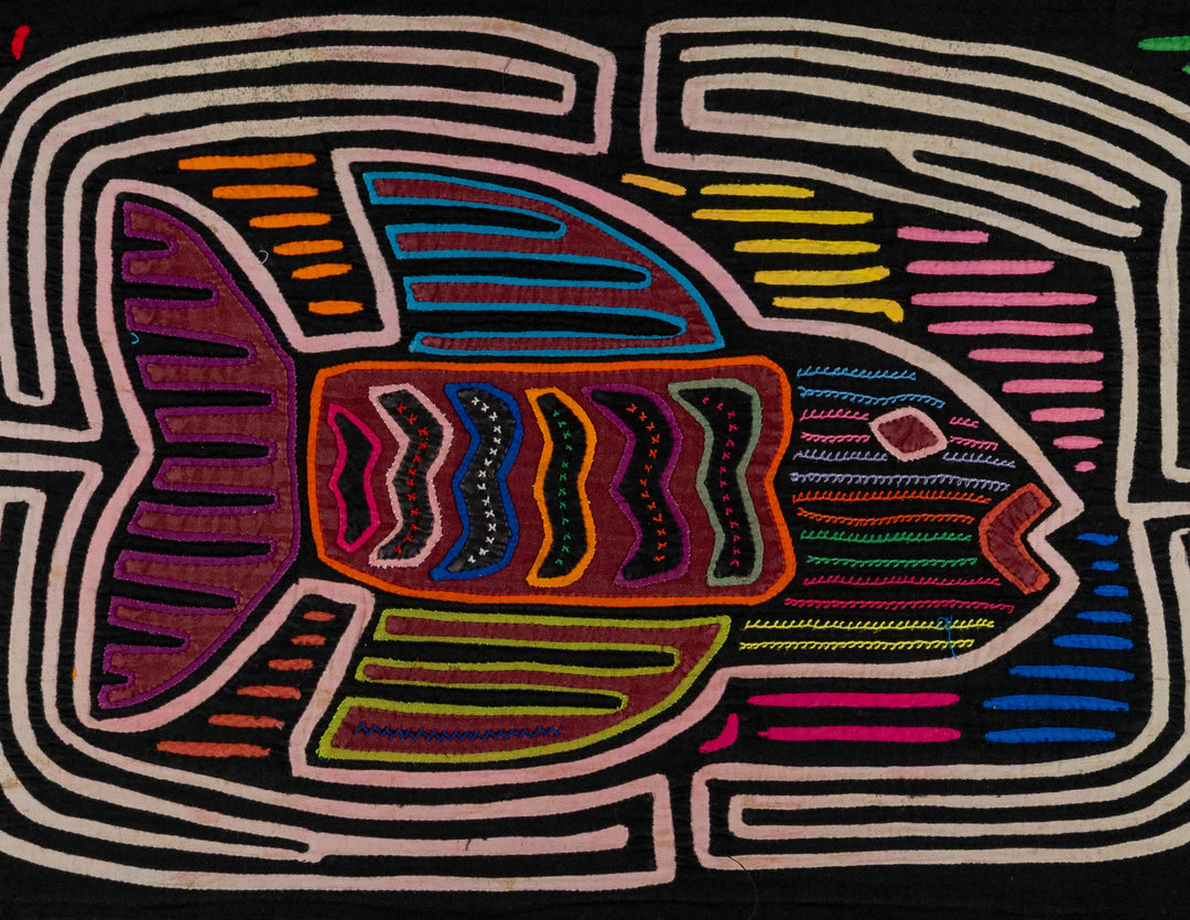 Rainbow Trout Fish Mola