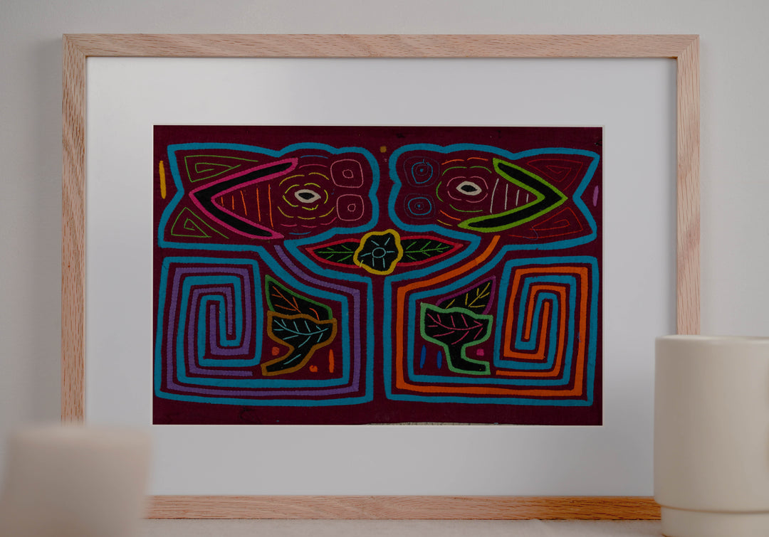 Burgundy And Blue Kissing Cousin Mola
