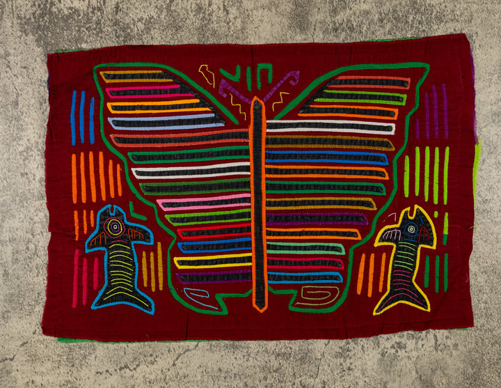 Rainbow Butterfly And Fish Mola