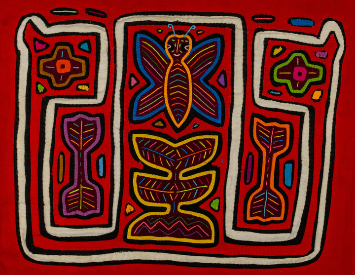 Orange And White Butterfly And Symmetry Mola