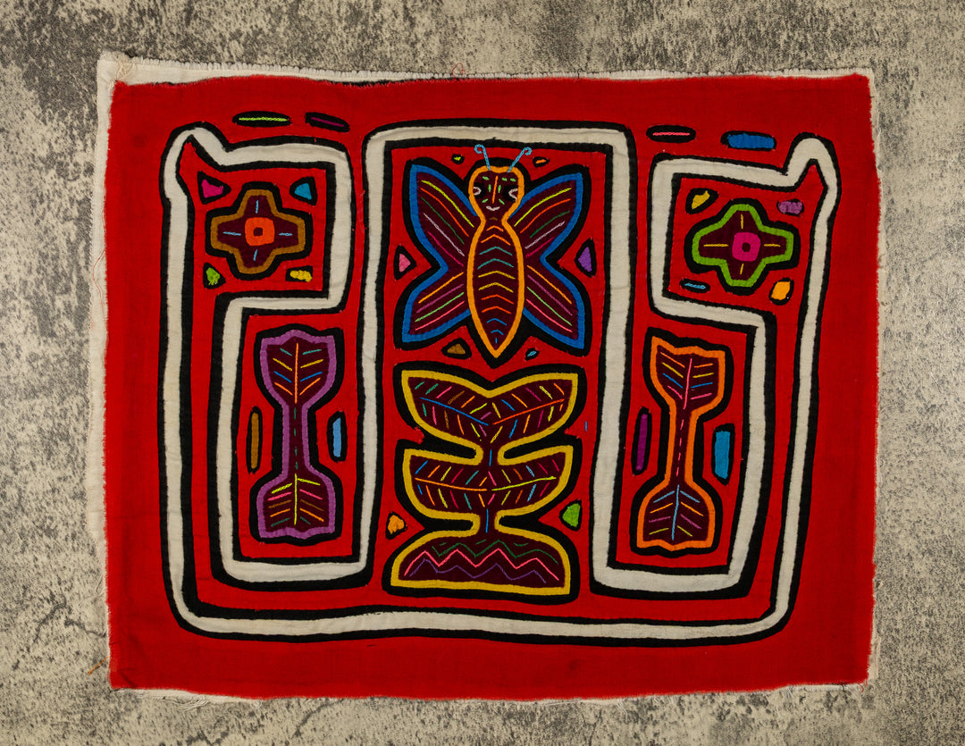 Orange And White Butterfly And Symmetry Mola