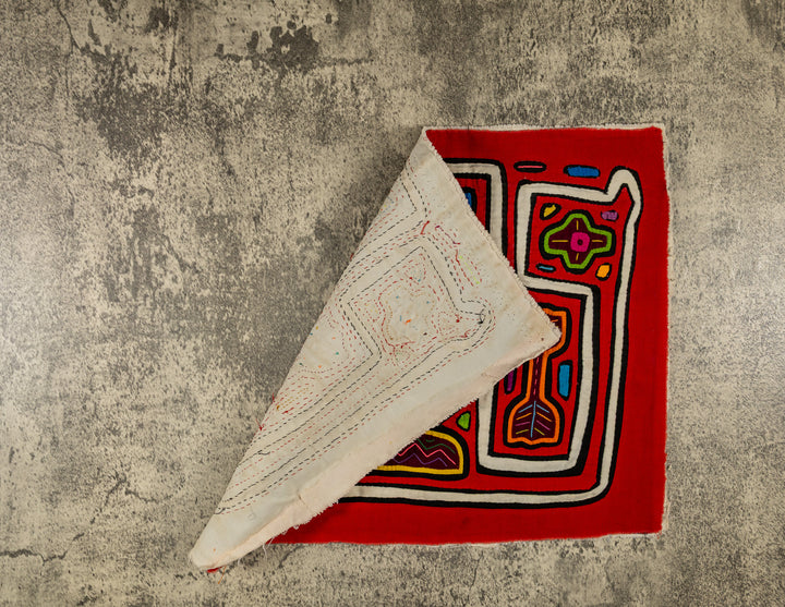 Orange And White Butterfly And Symmetry Mola