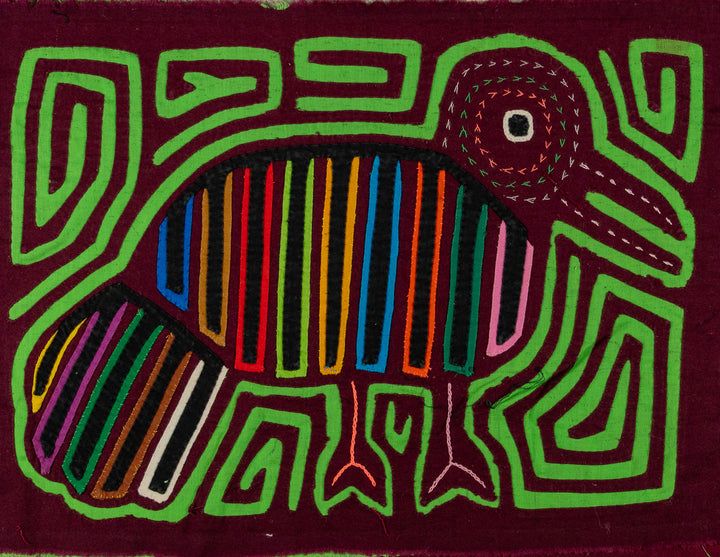 Maroon And Green Pigeon Mola