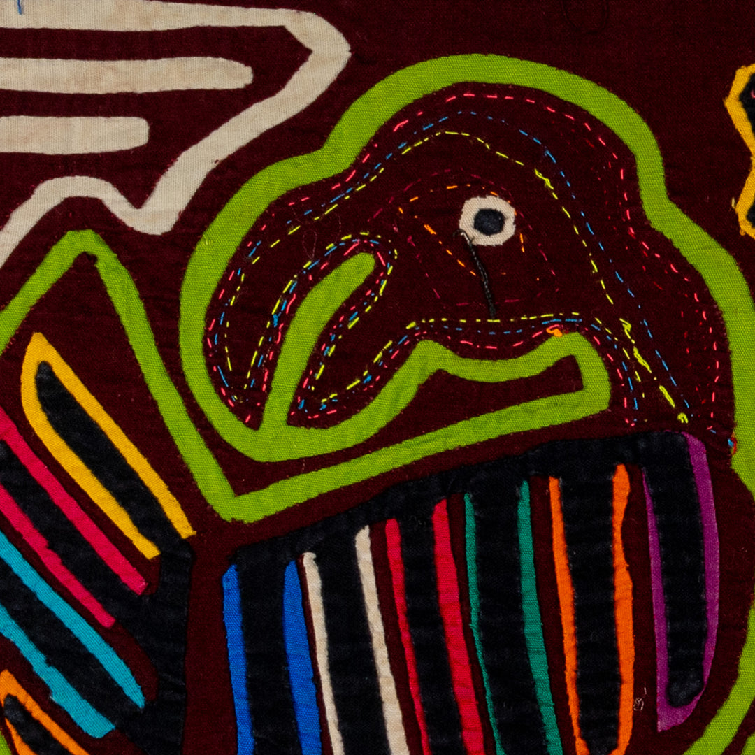 Maroon And Green Buzzard Bird Mola