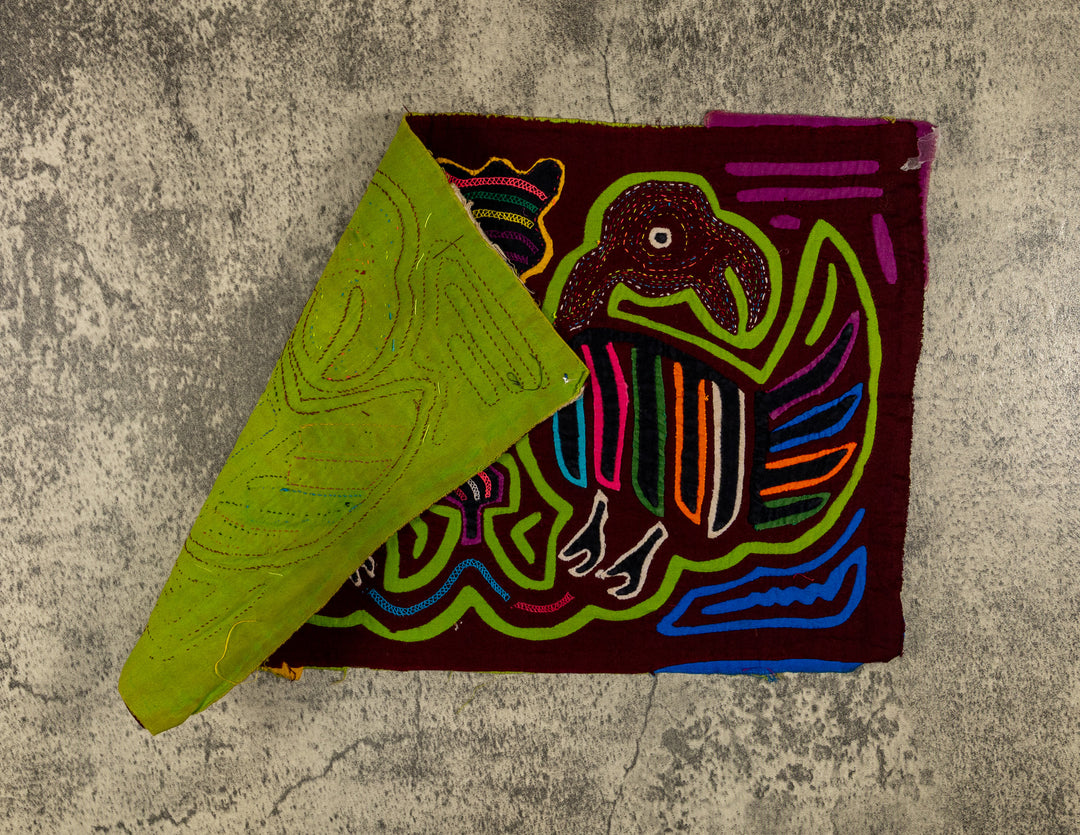Maroon And Green Buzzard Bird Mola