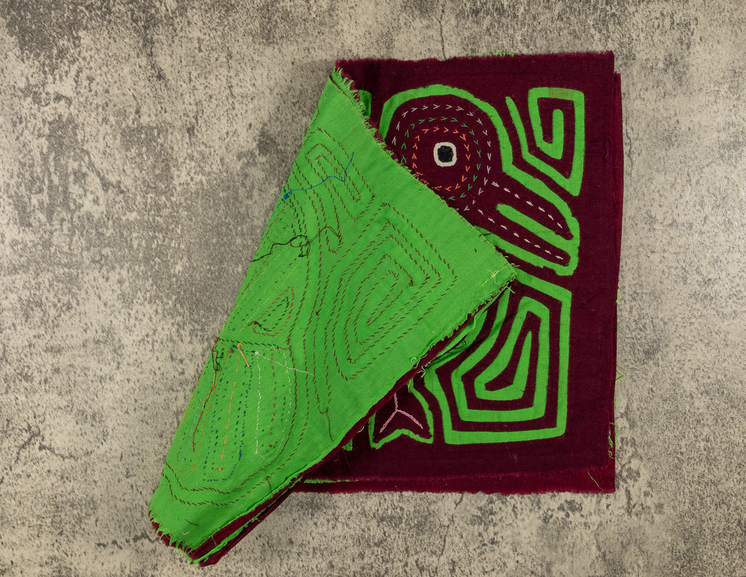 Maroon And Green Pigeon Mola