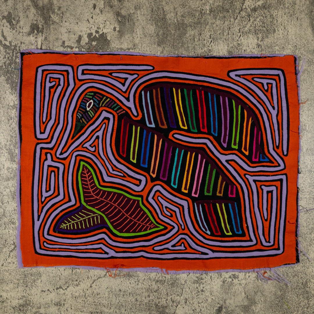 Orange And Gray Winged Warrior Of The Jungle Mola