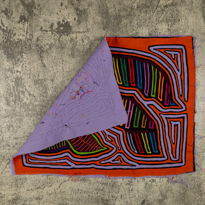 Orange And Gray Winged Warrior Of The Jungle Mola