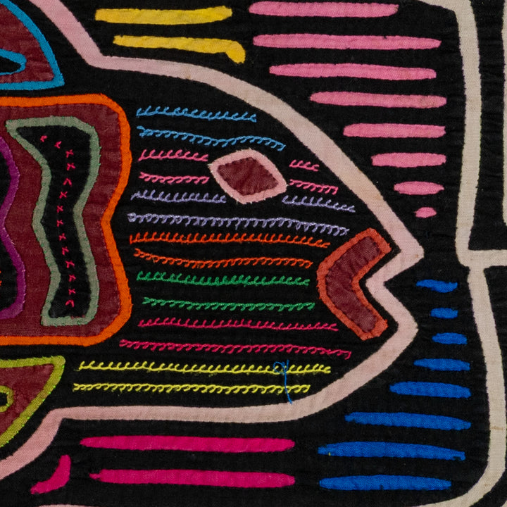 Rainbow Trout Fish Mola