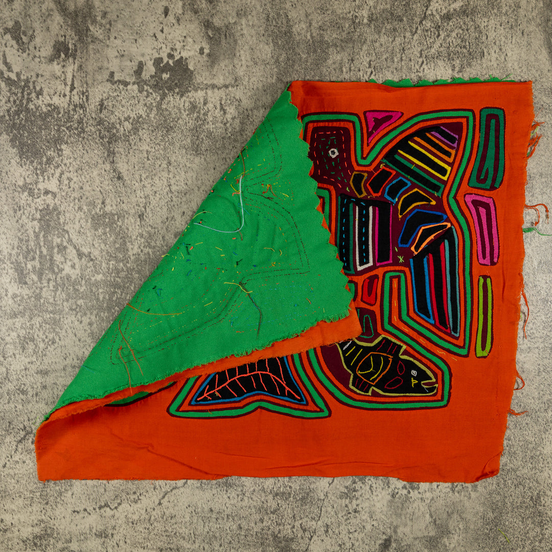 Orange And Green Hot Controversy In the Treetop Mola