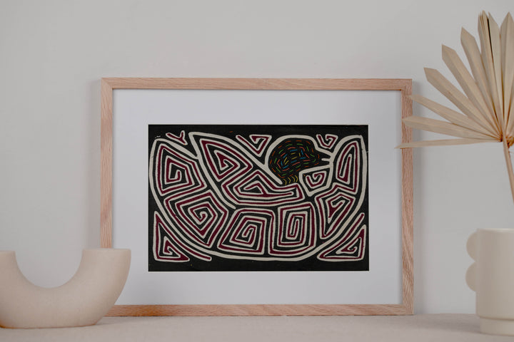 Black White And Maroon Duck Mola