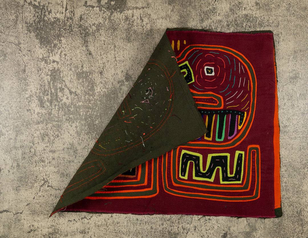 Burgundy And Orange Duel Parrot Bird Mola