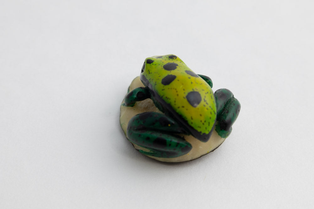 Wounaan Indian Spotted Frog Tagua Carving Panama