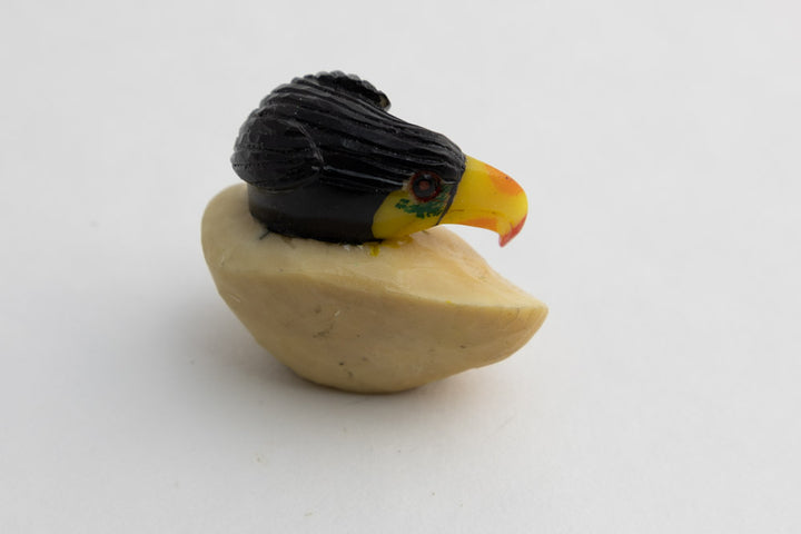 Wounaan Indian Toucan Parrot Bird Tagua Carving