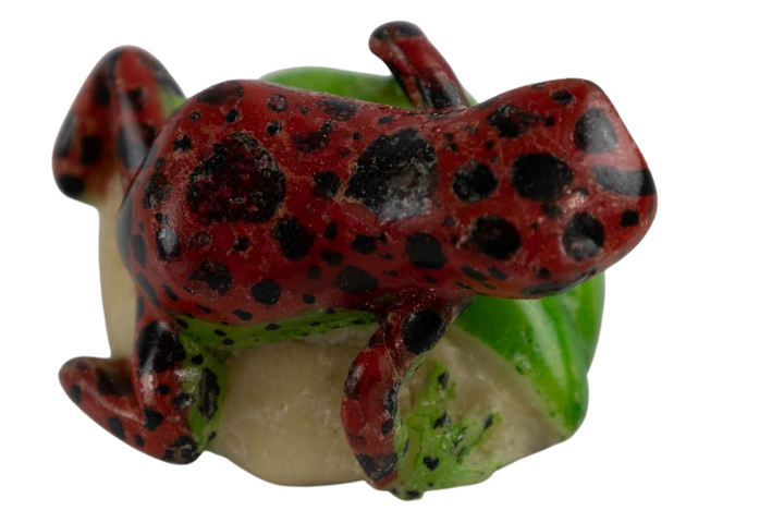 Wounaan Indian Poison Dart Frog Tagua Nut Carving