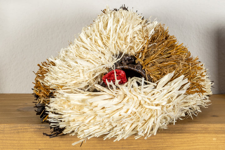 Saint Bernard Dog Mask