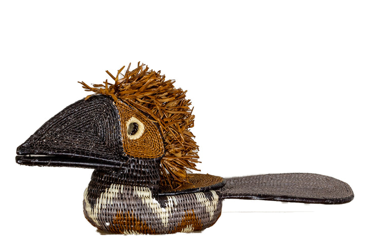 Brown and White Toucan Bird
