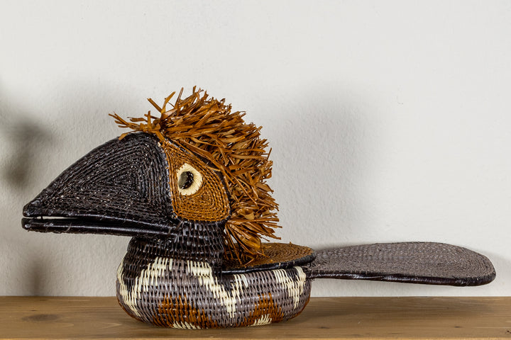 Brown and White Toucan Bird