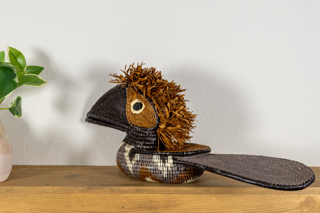 Brown and White Toucan Bird