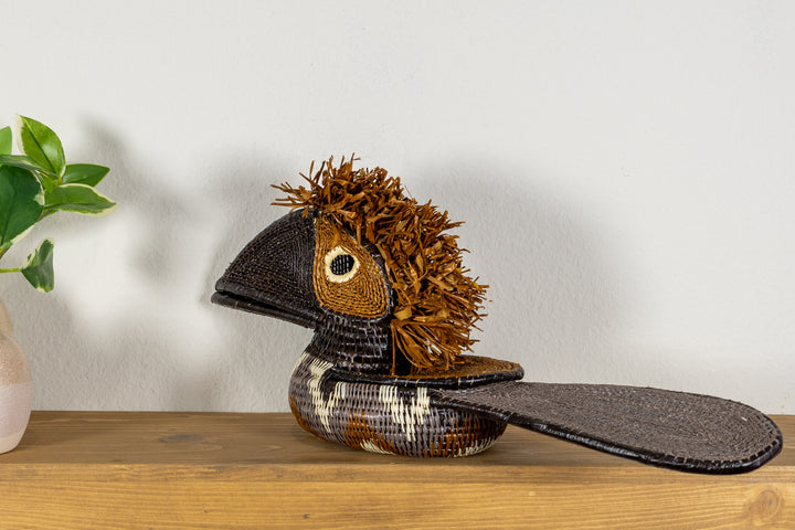 Brown and White Toucan Bird