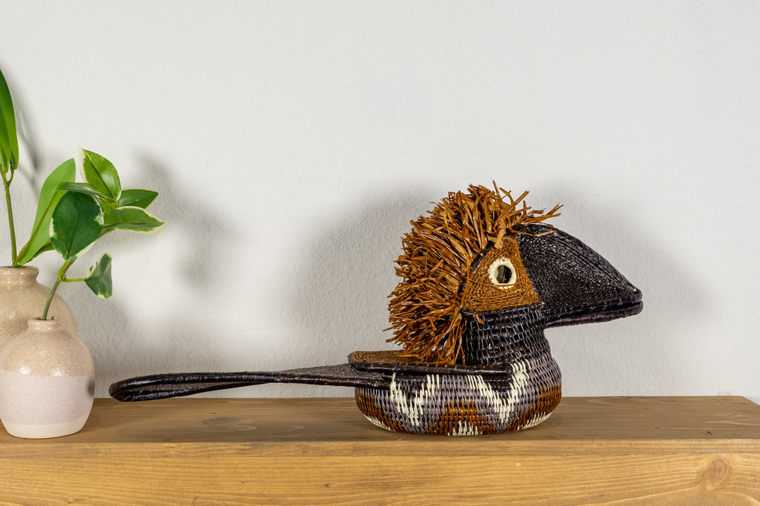Brown and White Toucan Bird