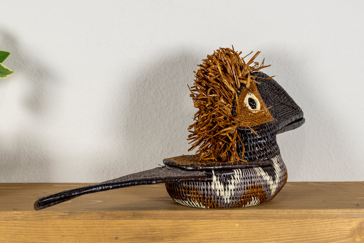 Brown and White Toucan Bird