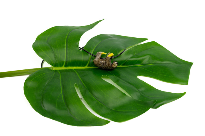 Sloth tagua on monstera leaf